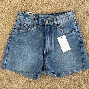 Brandy Melville Molly Denim Shorts